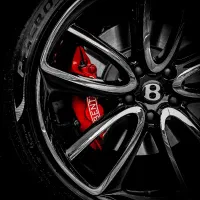 لاستیک به قیمت دولتی