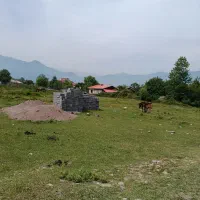 266متر-زمین-مسکونی-شهری-ماسال-تک-برگ-سند