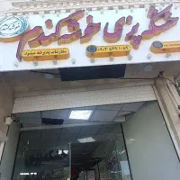 ویزیتور خانم