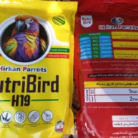 سرلاک پرنده