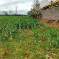 زمین ۷۰۰ متری فاصله ۱۰ دقیقه با یخسازی