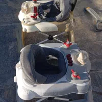 دو عدد روروئک