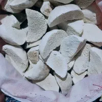 قره قروت محلی سفید درجه یک یک گوسفند ی