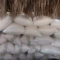 فروش یک تن کاه یونجه|لوازم جانبی حیوانات|رودخانه, |دیوار