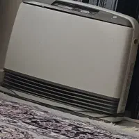 بخاری ژاپنی۳۰۰۰