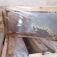 فروش عمده عسل موم و شهد سراب|خوردنی و آشامیدنی|هشتگرد, شهرک دانش|دیوار