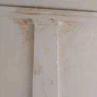 نقاشی وتغیر دکوراسیون منزل|خدمات پیشه و مهارت|نورآباد, |دیوار