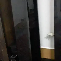 سینماخانواده