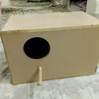 لونه عروس هلندی