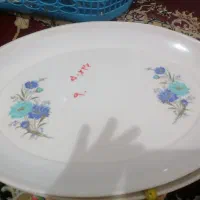 ظروف پذیرایی|ظروف سرو و پذیرایی|نجفآباد, فاز ۴ شهرک آزادگان|دیوار