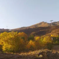 باغ گردو و آلبالو