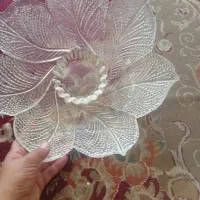 ظرف میوه قیمت ۲۵۰تومن