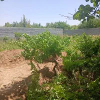 باغ استخر سر دو نبش