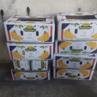 فروش تعدادی کارتن خالی جهت اسباب کشی|حراج|شیراز, شهرک امیر کبیر|دیوار