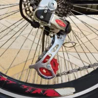 دوچرخه 24|دوچرخه، اسکیت، اسکوتر|جوانرود, |دیوار