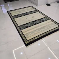 فرش به ابعاد ۵*۱ در ۲۵*۲ طرح ورساچ