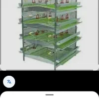 فروش قفس بلدرچین