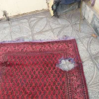 کناره دست بافت|فرش|کوهدشت, |دیوار