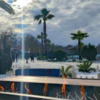 همسفر برای مهاجرت