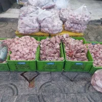 اسکلت مرغ کله مرغ پا مرغ