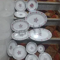 سرویس تکی ملامین گلدار