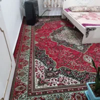 فرش|فرش|انگوت, |دیوار
