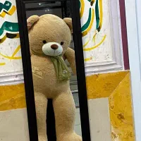 خرس|اسباببازی|هرسین, |دیوار