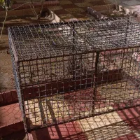 قفس طوری سنگین از آرماتور و طور فلزی