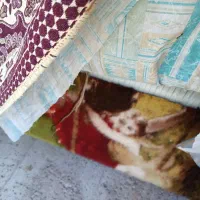 دار قالی|فرش|طرقبه, |دیوار