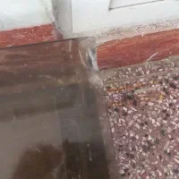 میز جلو مبلی|مبلمان خانگی و میز عسلی|بجنورد, |دیوار