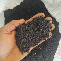 بذر پیاز قرمز