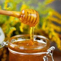 عسل طبیعی|خوردنی و آشامیدنی|نیشابور, کشتارگاه|دیوار