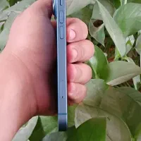 آیفون 13 نرمال ch|موبایل|کرمان, |دیوار