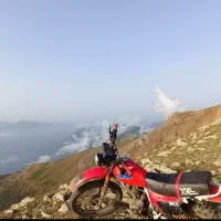 موتور هونداxl