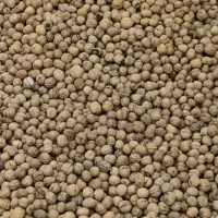 گردو میانکوه سنقز
