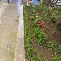 خدمات‌باغبانی‌در‌‌‌سراسر‌تهران|خدمات باغبانی و درختکاری|تهران, سهروردی|دیوار