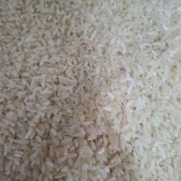 برنج فیروزآبادی اصل