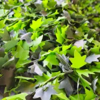 مرکز تایل ترمو وود و چمن مصنوعی با کیفیت|مصالح و تجهیزات ساختمان|کرج, بازار مصالح ساختمانی|دیوار