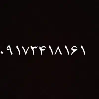 سیم کارت دائمی ۰۹۱۷۳۴۱۸۱۶۱