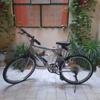 دوچرخه کبرا نو نو ۲۶