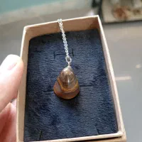 گردنبند چشم ببر