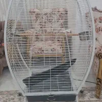 قفس بزرگ وارداتی