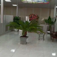 استخدام کمک حسابدار خانم