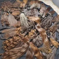 فروش و خرید موی طبیعی خریدار اصلی مو ضمانت