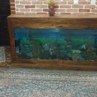 آکواریم بزرگ با میز|ماهی|صباشهر, |دیوار