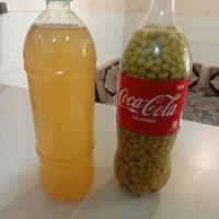 آبغوره و دونه غوره