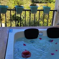 ویلای با چشم انداز جنگل و دریا|اجارهٔ کوتاهمدت ویلا و باغ|گرگان, |دیوار