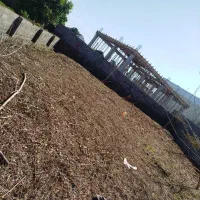 خدمات علفزنی چمن زنی علفتراش و علف زنی