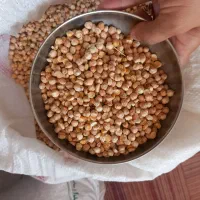 محصولات کشاورزی|عمده‌فروشی|سرپل ذهاب, |دیوار