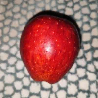 سیب قرمز تناژ نامحدود